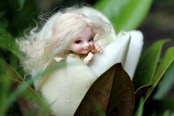 Картинка разное игрушки милый лукавый эльф кукла