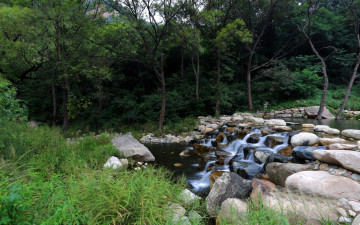 Картинка природа реки озера камни лес река