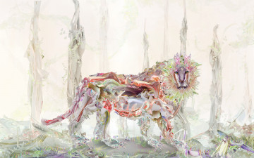 Картинка рисованные животные львы лев