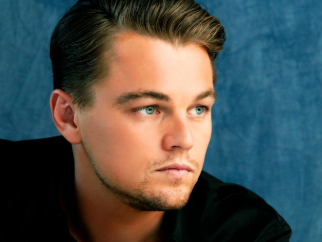 Обои картинки фото leonardo, di, caprio, мужчины, dicaprio, сша, гголливуд, звезда, кино, актер