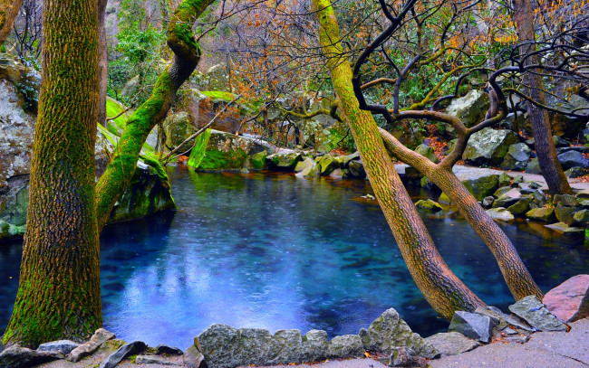 Обои картинки фото природа, реки, озера, река, лес, камни