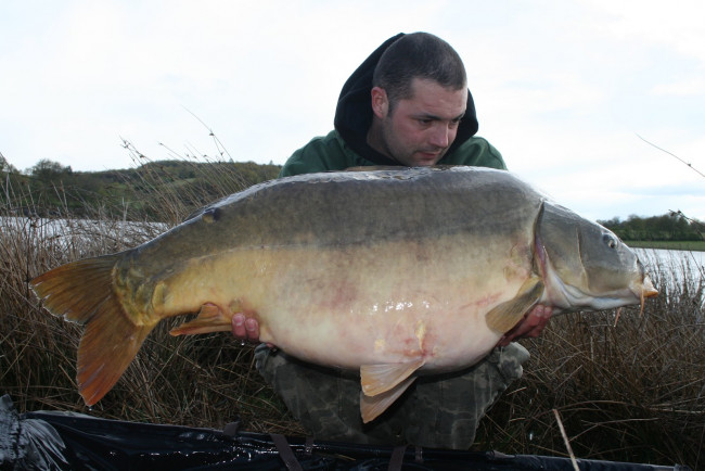 Обои картинки фото животные, рыбы, рыба, улов