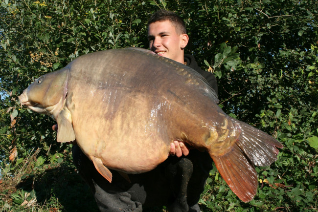 Обои картинки фото животные, рыбы, улов, рыба