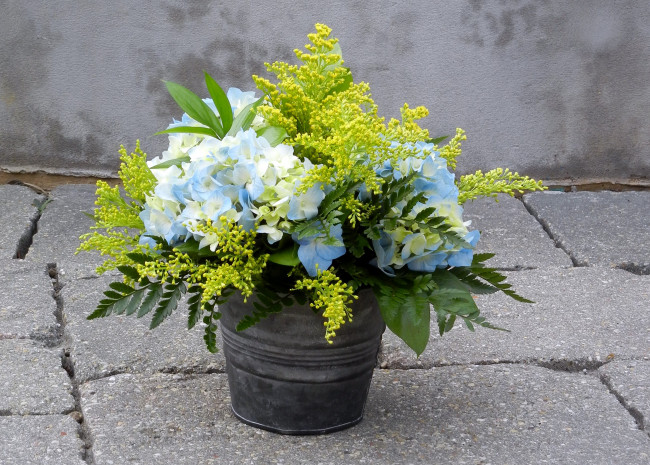 Обои картинки фото цветы, букеты, композиции, мимозы, букет