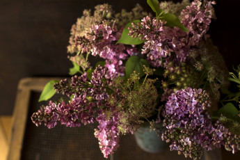 Картинка цветы сирень ваза