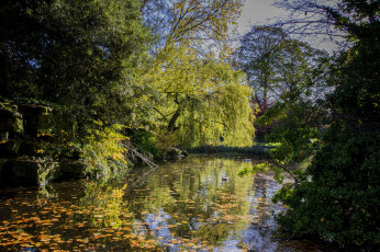 Картинка природа реки озера лес река