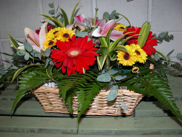 Обои картинки фото цветы, букеты,  композиции, герберы, лилии, маргаритки, корзинка
