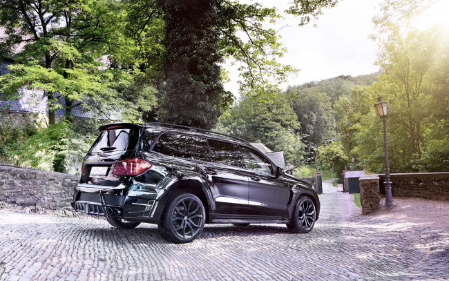 Обои картинки фото автомобили, mercedes-benz, larte