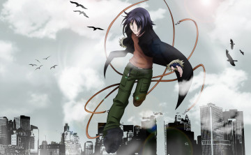 обоя аниме, air gear, мальчик, мультфильм, небо, air, gear, птицы, город, ицуки, минами