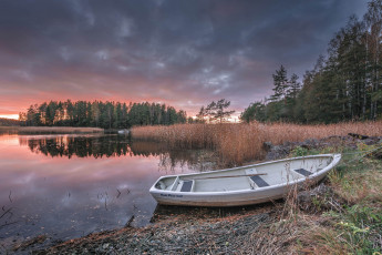 Картинка корабли лодки +шлюпки река лес