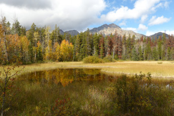 Картинка природа реки озера лес река