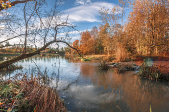 Картинка природа реки озера лес река