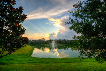 Картинка природа реки озера река лес