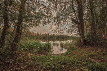 Картинка природа реки озера река лес