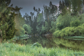 Картинка природа реки озера река лес