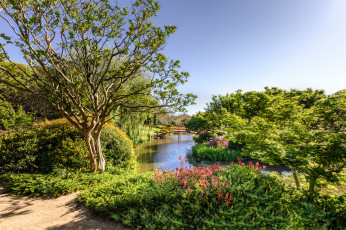 Картинка природа парк лес река