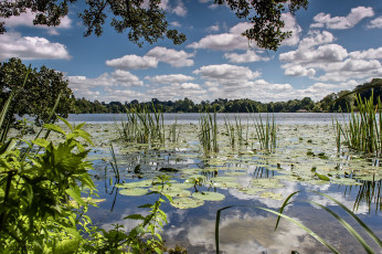 Картинка природа реки озера лес река