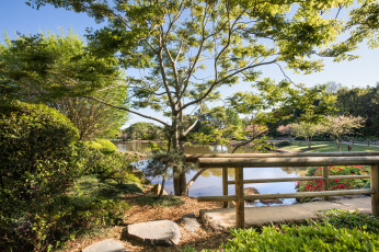 Картинка природа реки озера лес река