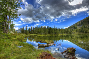 Картинка природа реки озера лес река