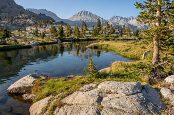 Картинка природа реки озера река лес