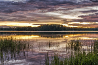 Картинка природа реки озера река лес