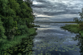 Картинка природа реки озера река лес