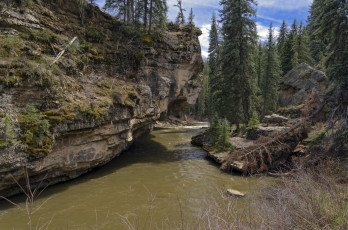 Картинка природа реки озера лес река