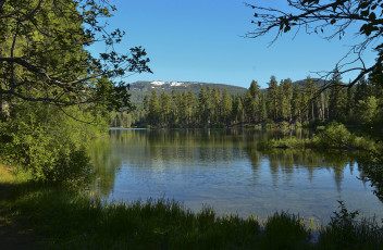 Картинка природа реки озера лес река