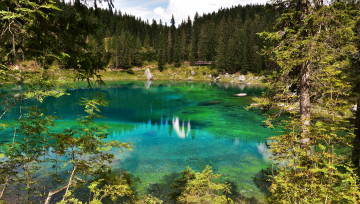 Картинка природа реки озера лес река