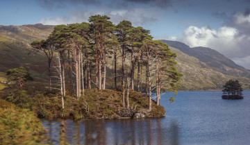 Картинка природа побережье море берег