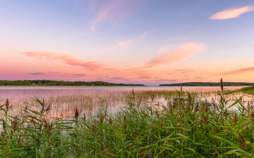 Картинка природа реки озера река лес