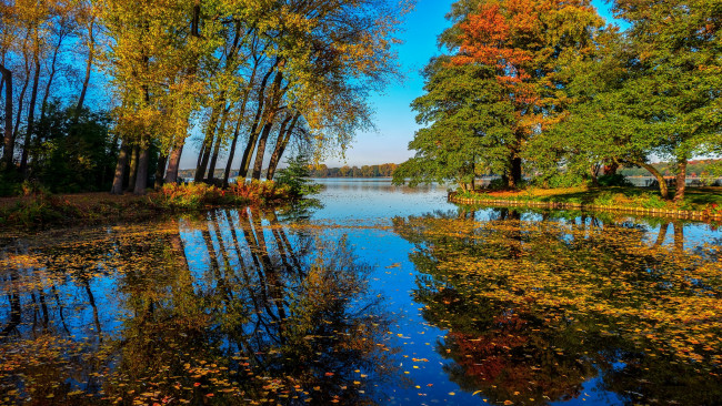 Обои картинки фото природа, реки, озера, лес, река