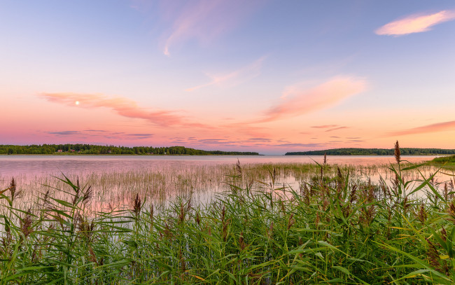 Обои картинки фото природа, реки, озера, река, лес