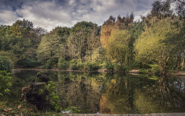 Обои картинки фото природа, реки, озера, река, лес