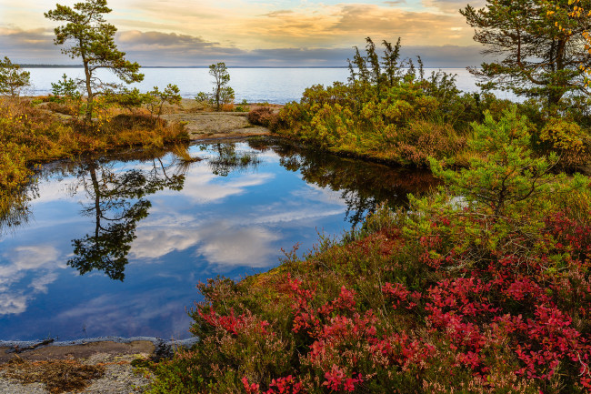 Обои картинки фото природа, реки, озера, река, лес