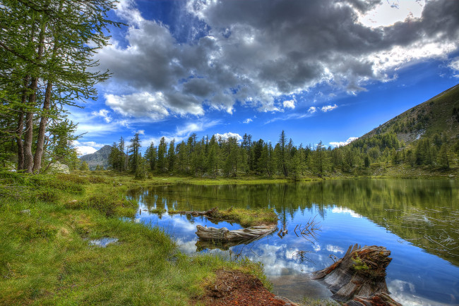 Обои картинки фото природа, реки, озера, лес, река