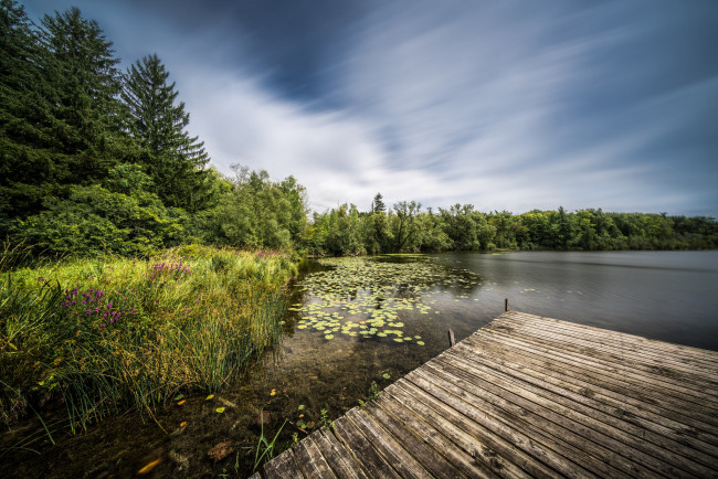 Обои картинки фото природа, реки, озера, река, лес