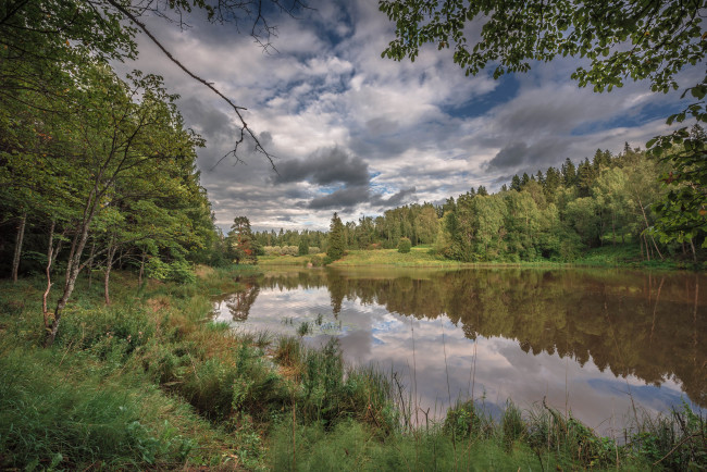 Обои картинки фото природа, реки, озера, река, лес