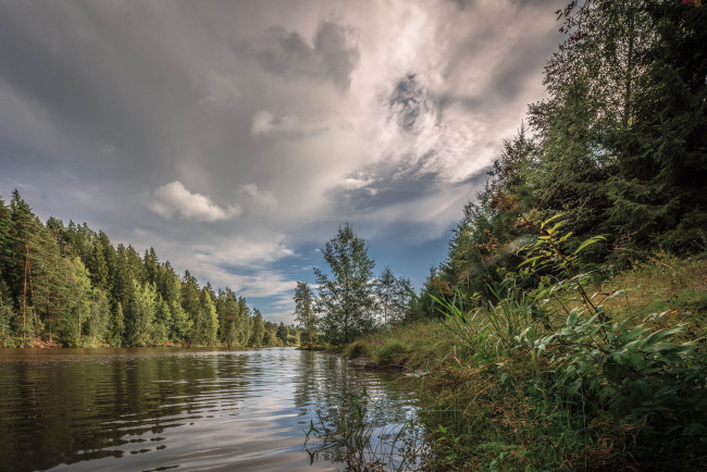 Обои картинки фото природа, реки, озера, река, лес