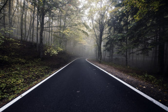 Картинка природа дороги лес осень дорога