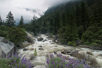 Картинка природа реки озера простор