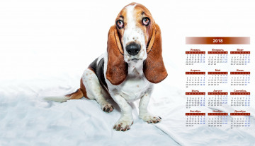 обоя календари, животные, собака, взгляд, 2018