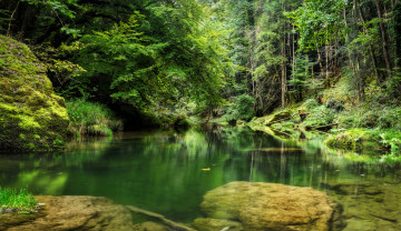 Картинка природа реки озера простор