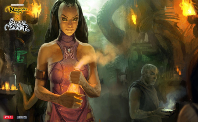 Обои картинки фото видео игры, neverwinter nights 2,  storm of zehir, женщина, колба, люди, поселение