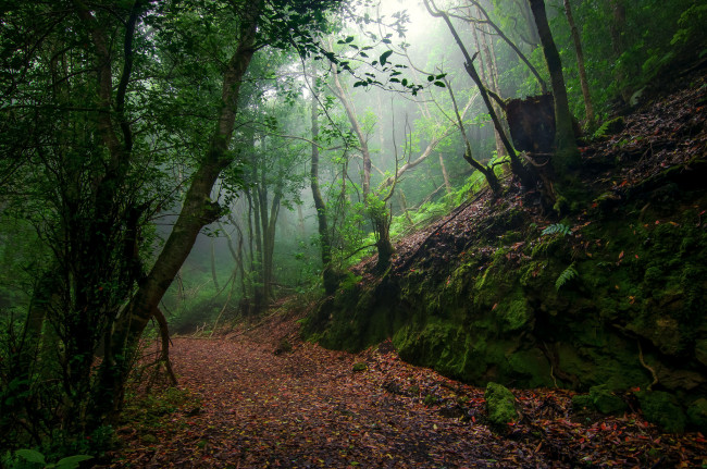 Обои картинки фото природа, дороги, простор