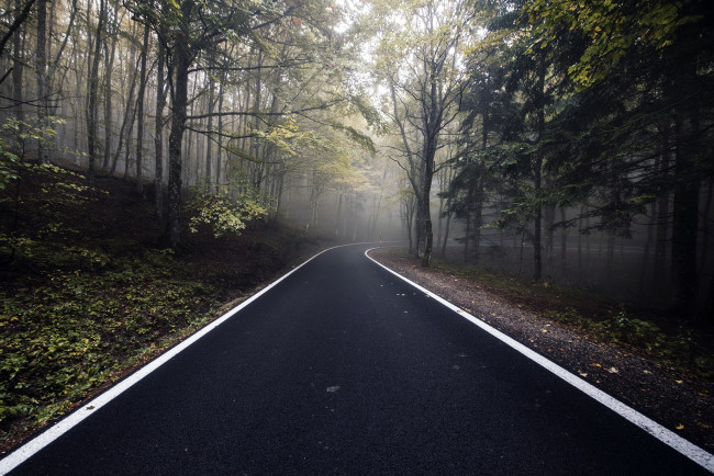 Обои картинки фото природа, дороги, лес, осень, дорога