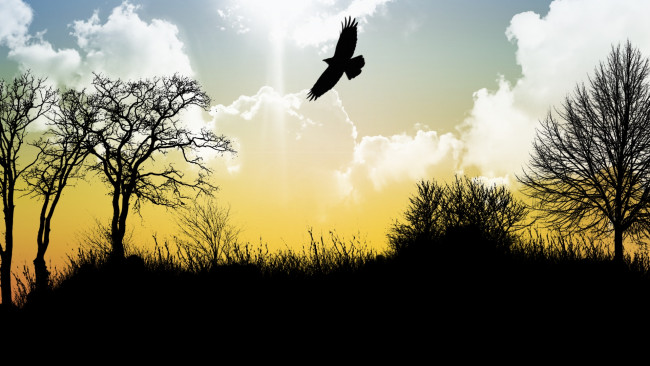 Обои картинки фото векторная графика, животные , animals, лес, деревья