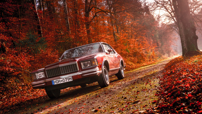 Обои картинки фото автомобили, chevrolet, 1979, monte, carlo