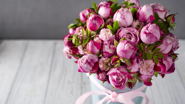 Обои картинки фото цветы, розы, бутоны