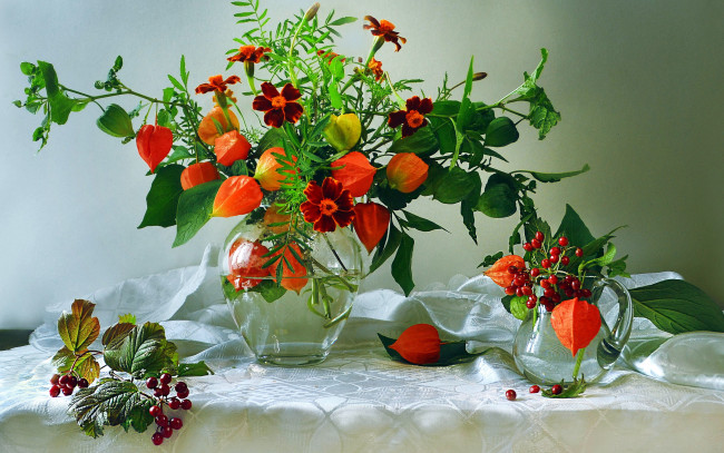 Обои картинки фото цветы, букеты,  композиции, физалис, бархатцы